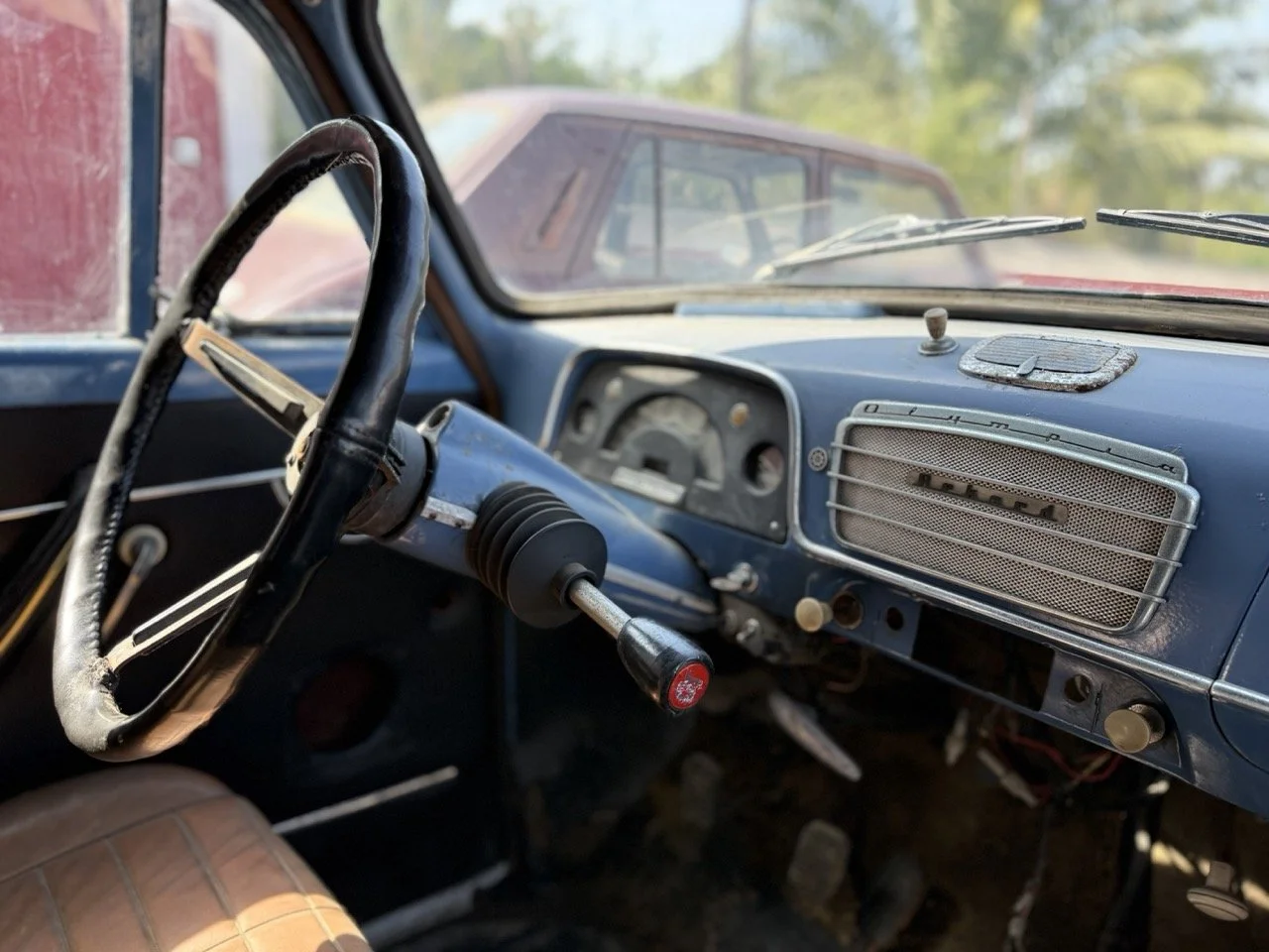 IMG_3512 – grande.jpeg