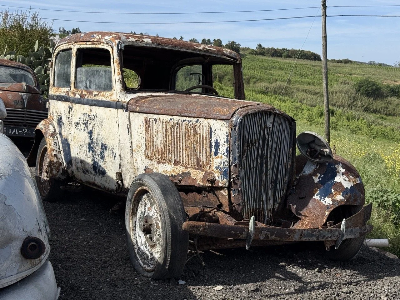 IMG_0352 – grande.jpeg