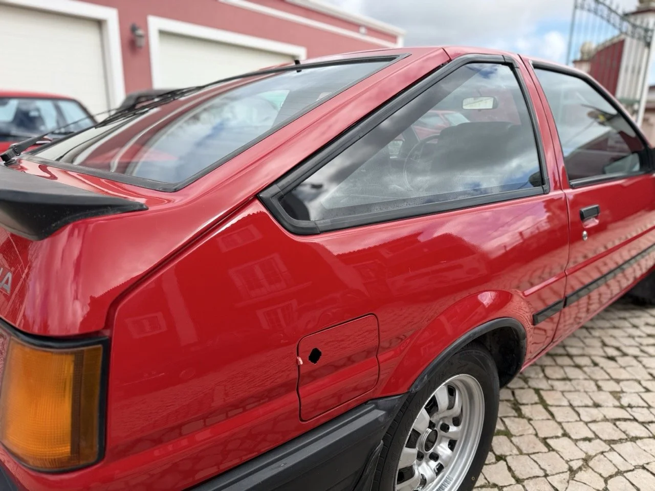 IMG_2373 – grande.jpeg