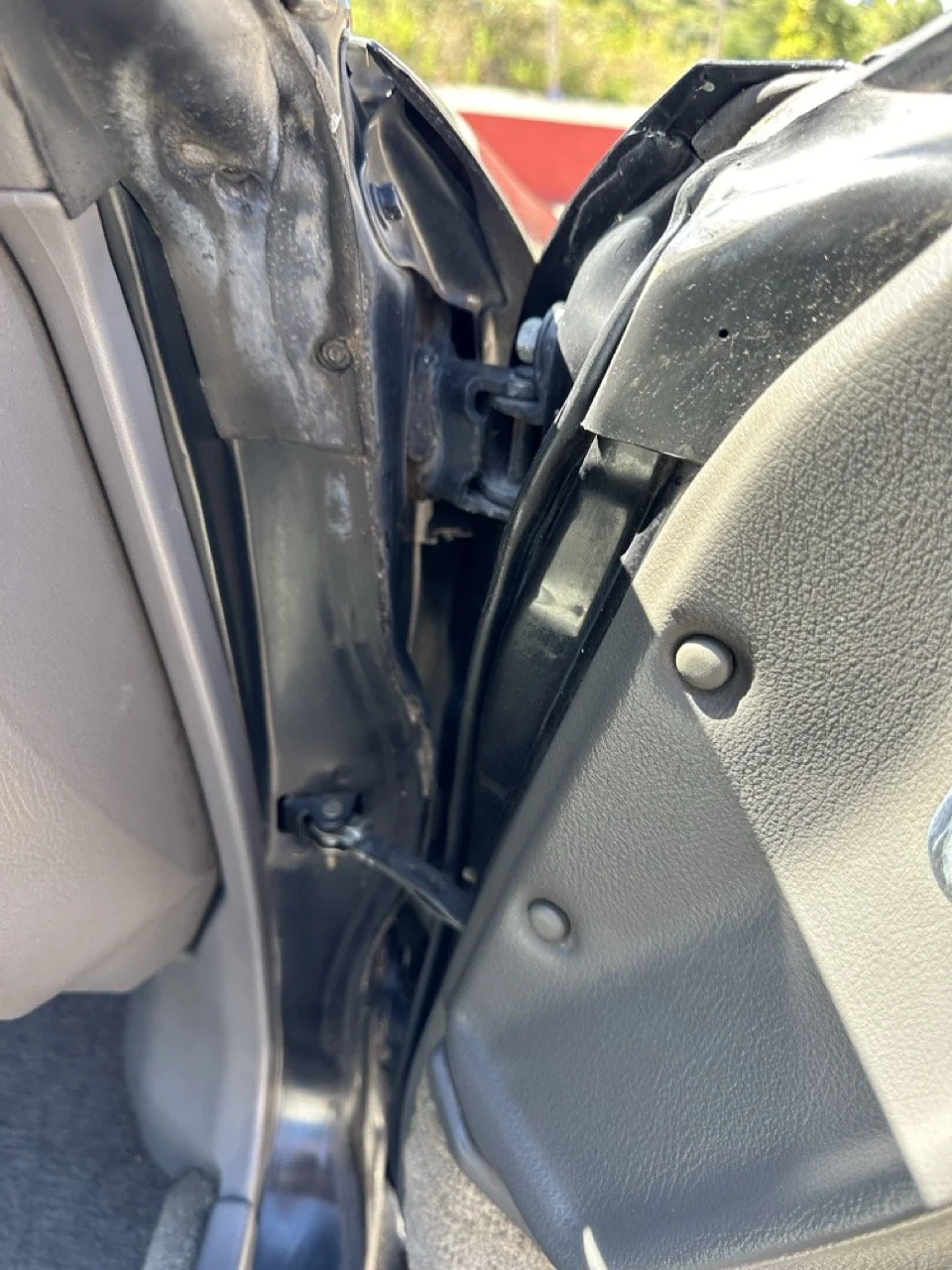 IMG_3100 – grande.jpeg