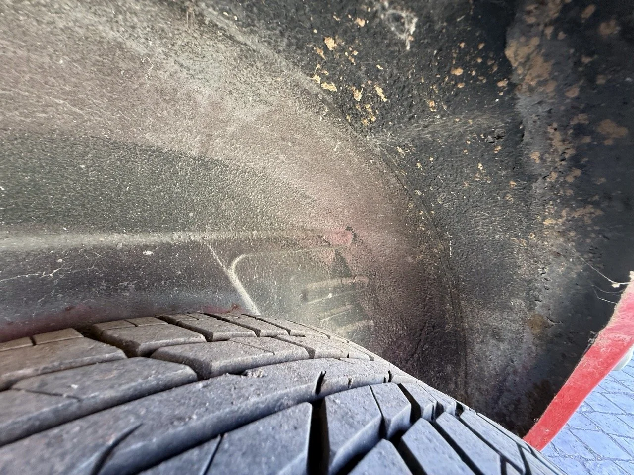 IMG_2120 – grande.jpeg