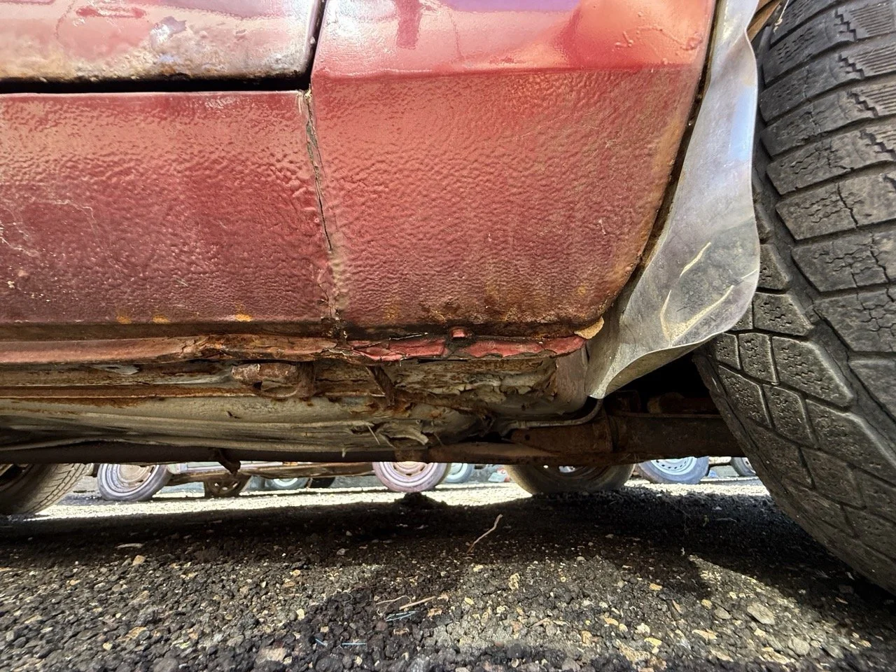 IMG_0972 – grande.jpeg