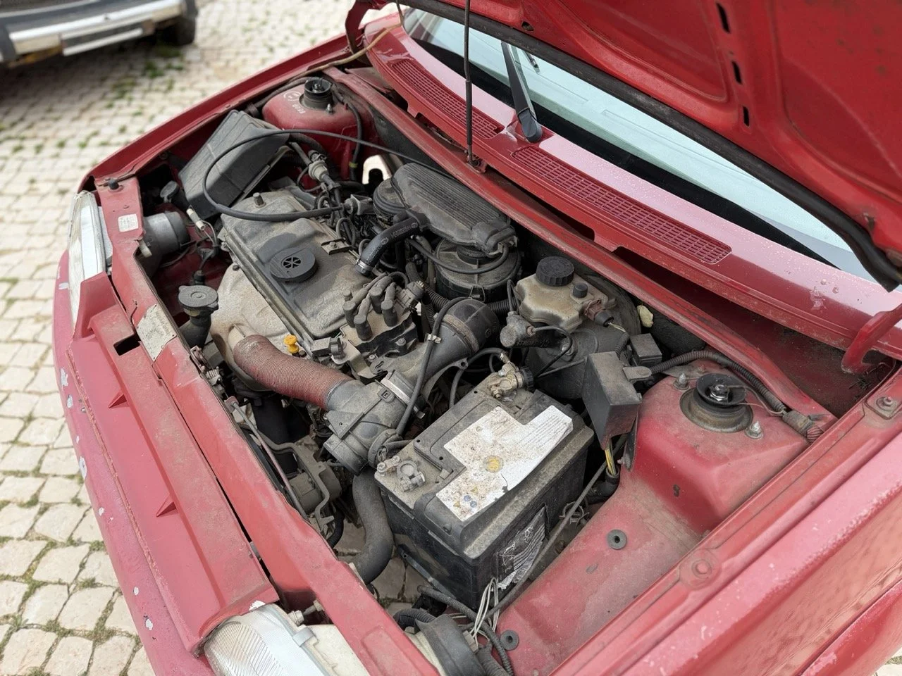 IMG_3596 – grande.jpeg