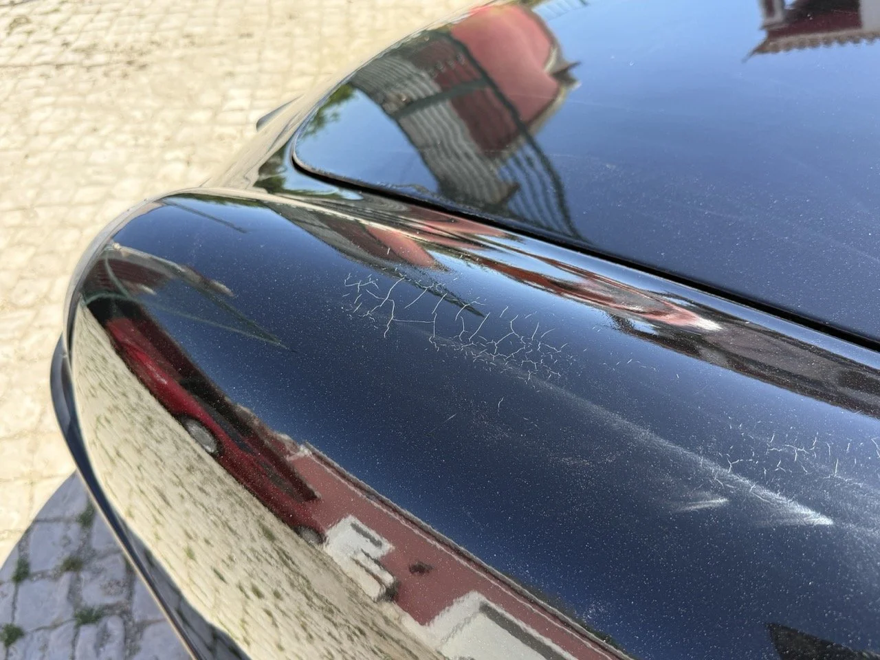 IMG_2203 – grande.jpeg