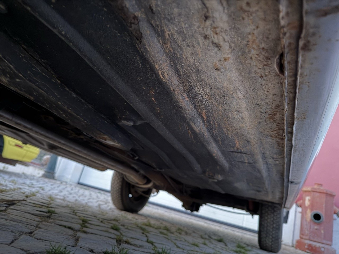 IMG_7560 – grande.jpeg