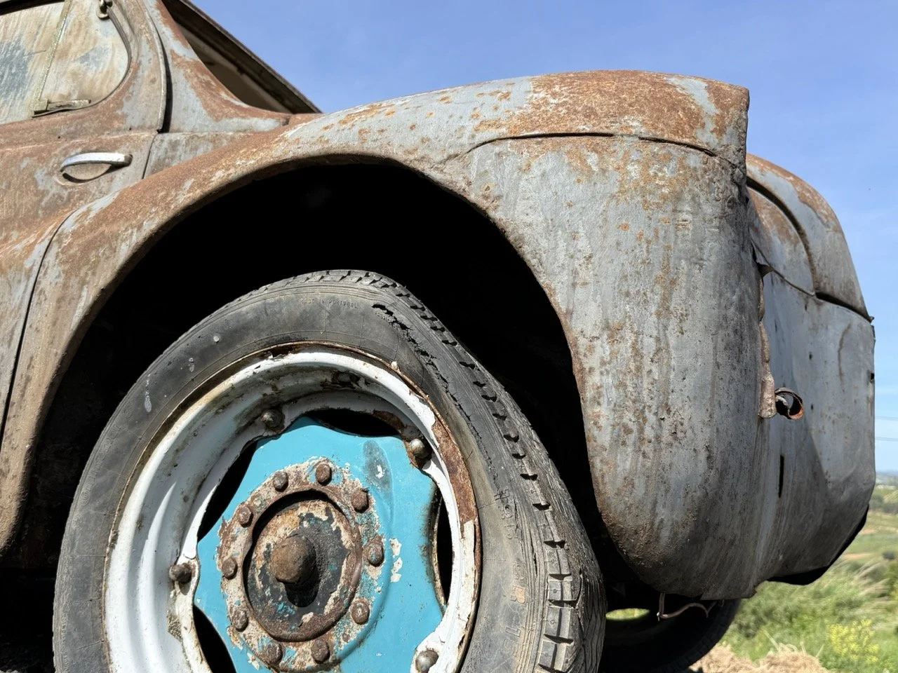 IMG_0285 – grande.jpeg