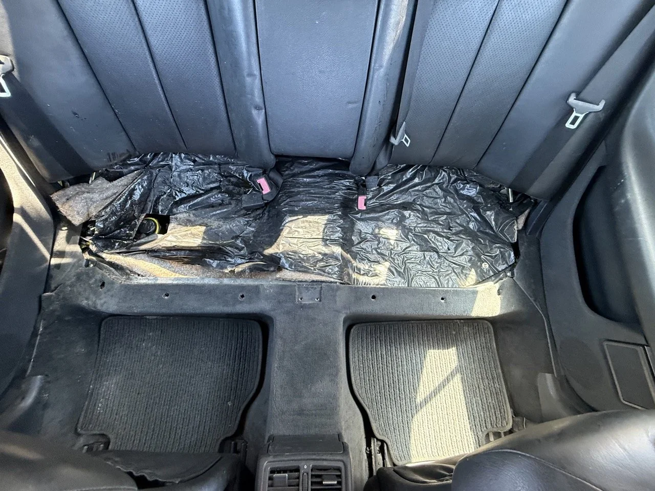 IMG_1776 – grande.jpeg