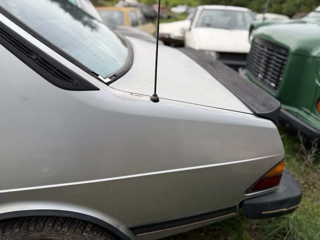 IMG_4994 – grande.jpeg