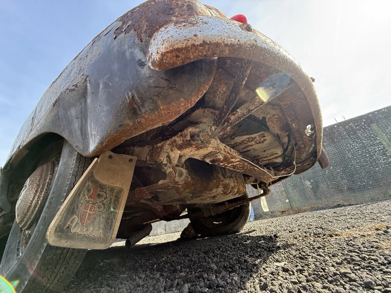 IMG_0451 – grande.jpeg