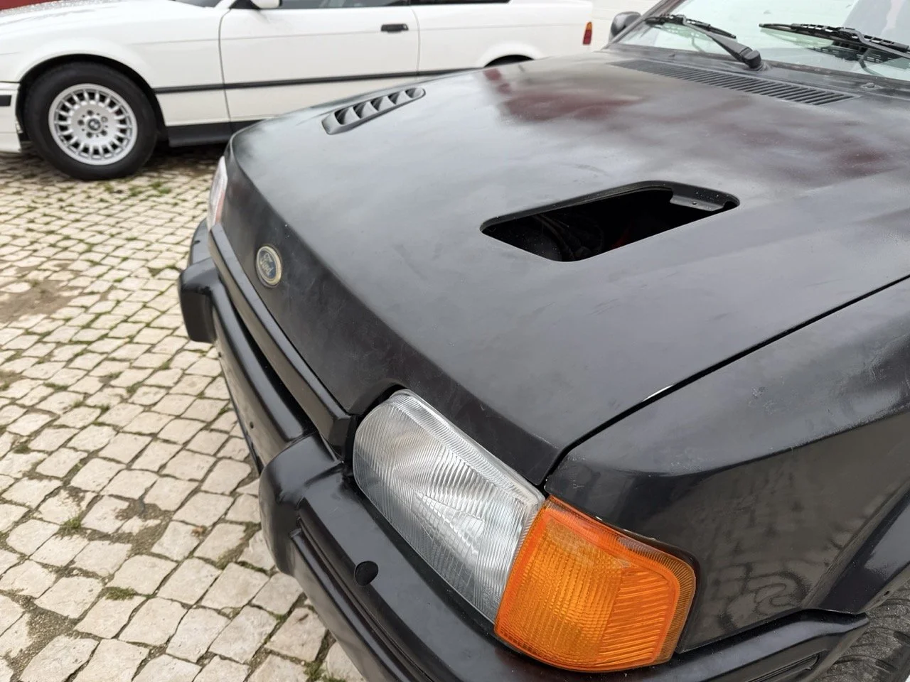 IMG_1295 – grande.jpeg