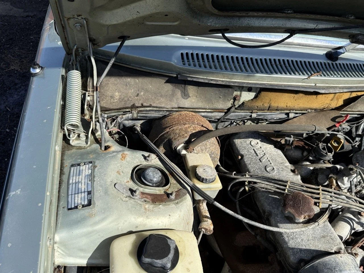 IMG_1163 – grande.jpeg