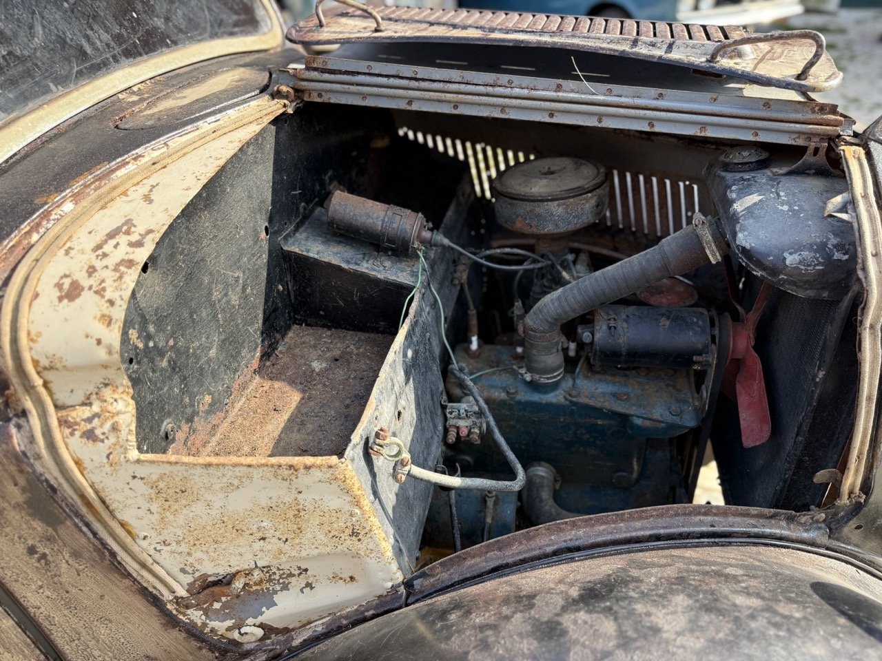 IMG_3698 – grande.jpeg