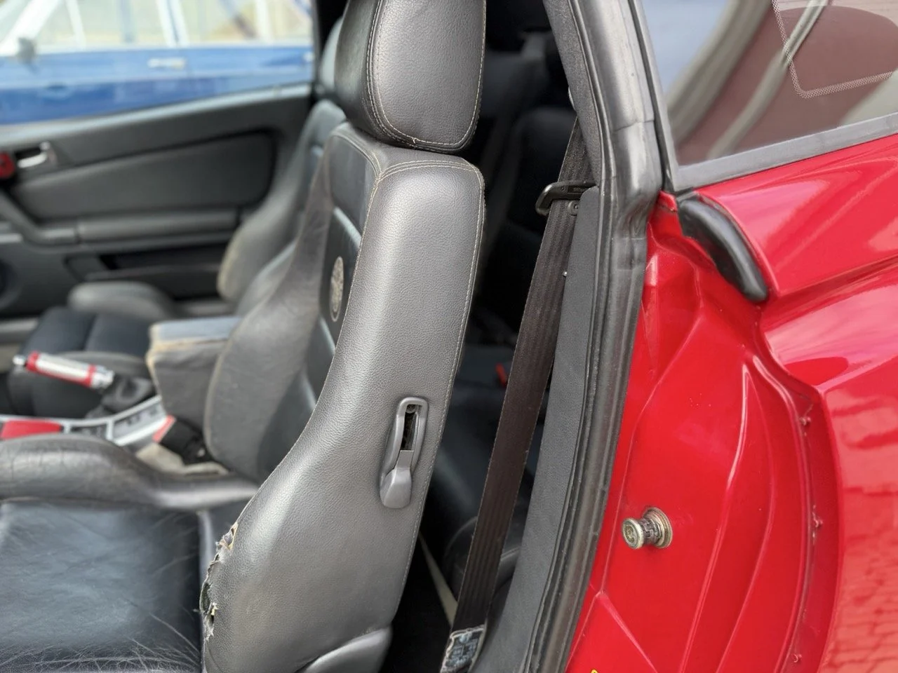 IMG_2240 – grande.jpeg