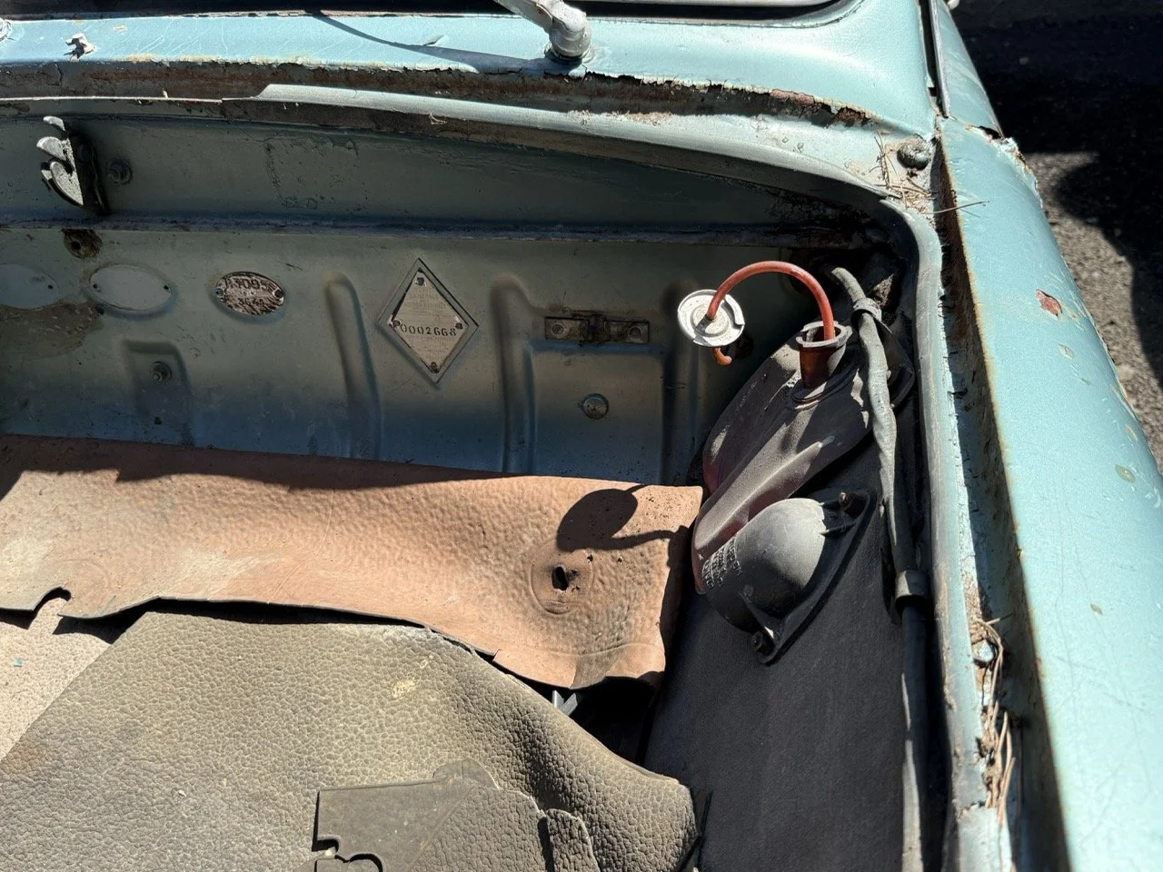 IMG_0841 – grande.jpeg