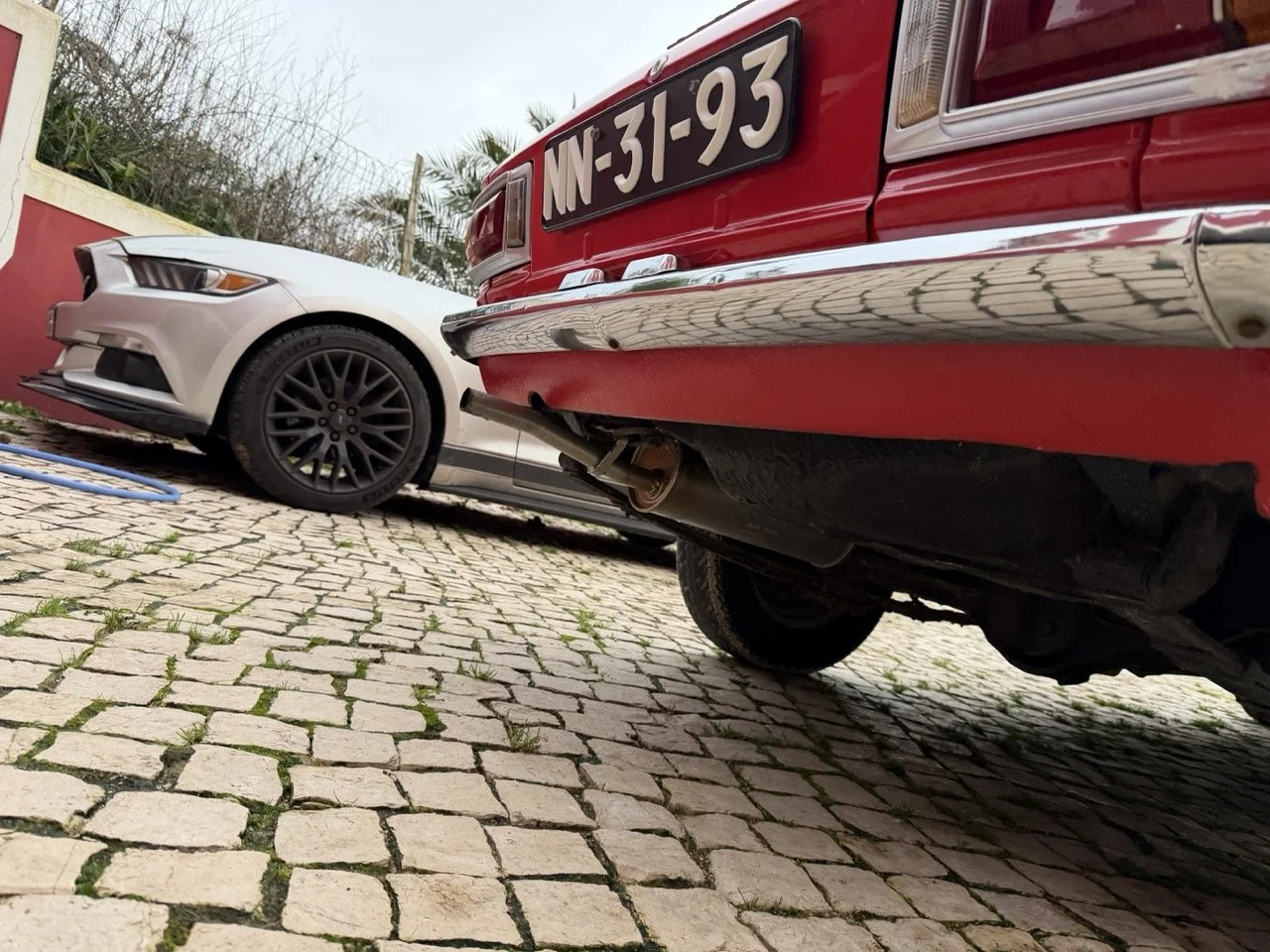 IMG_8279 – grande.jpeg