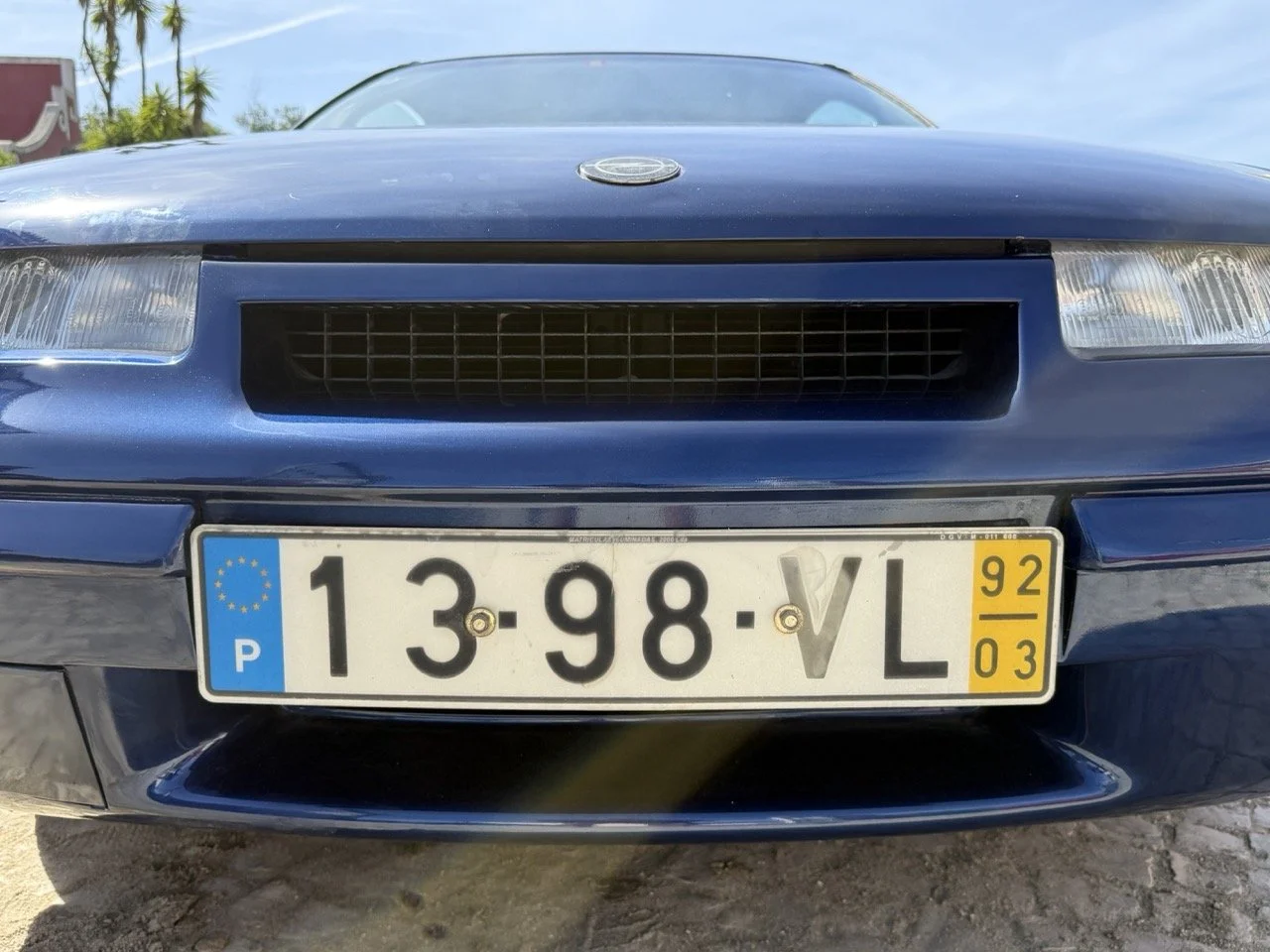 IMG_2474 – grande.jpeg