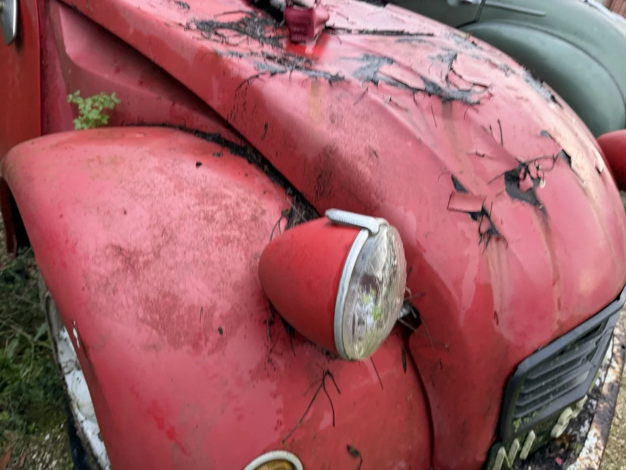 IMG_5496 – grande.jpeg