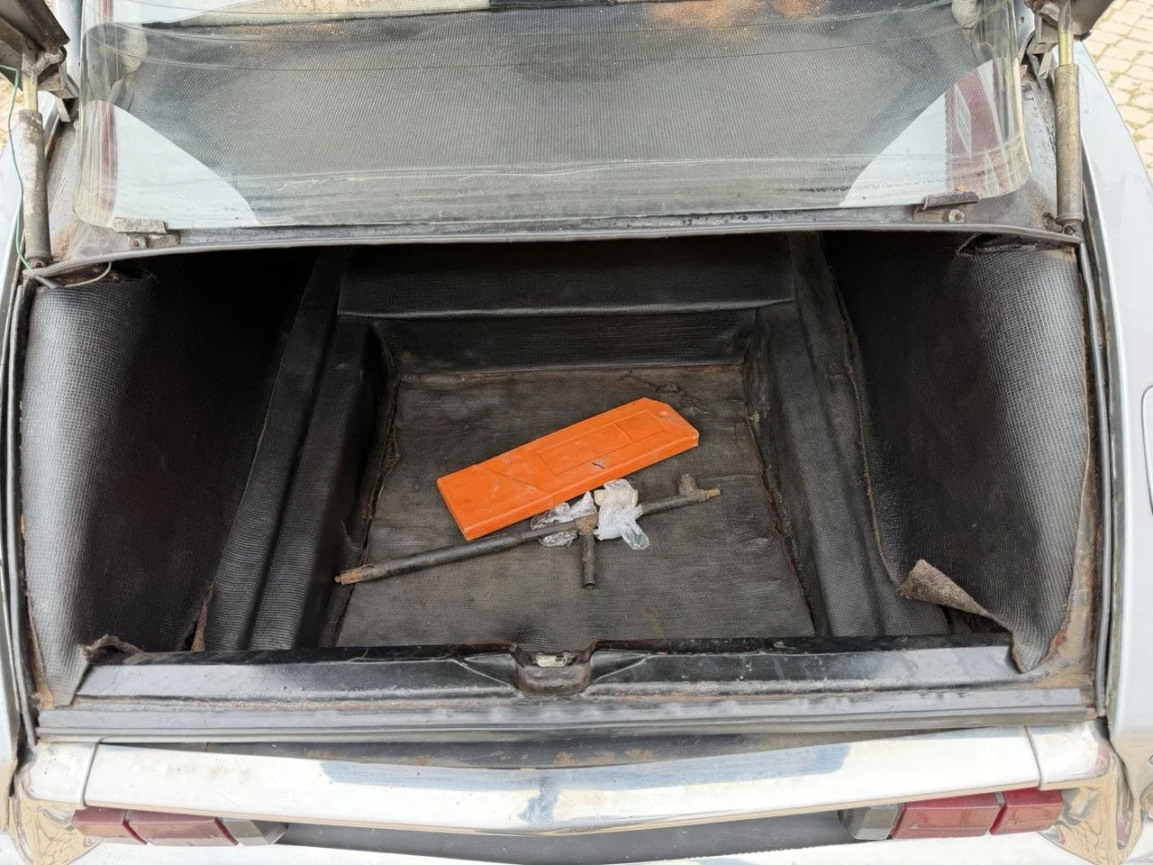 IMG_3706 – grande.jpeg