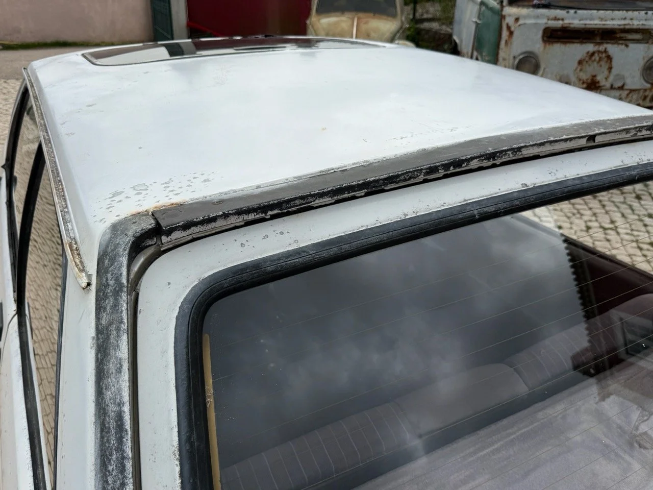 IMG_8590 – grande.jpeg