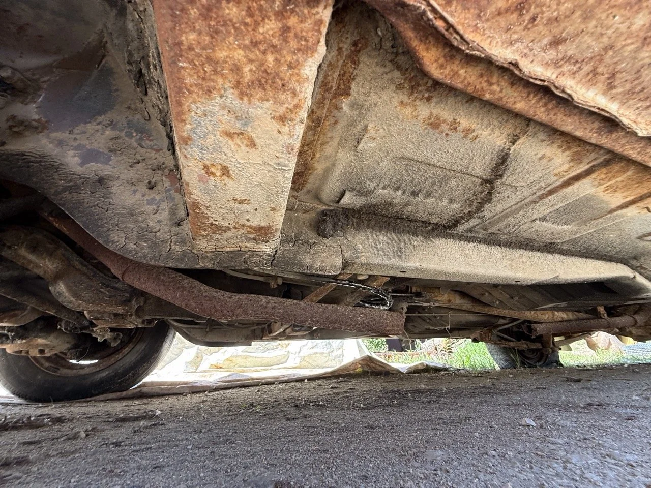 IMG_3234 – grande.jpeg