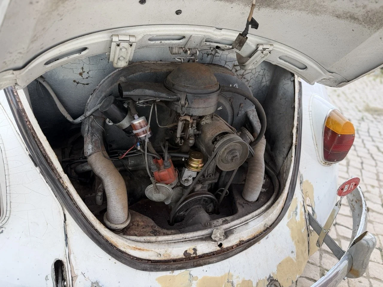 IMG_8643 – grande.jpeg