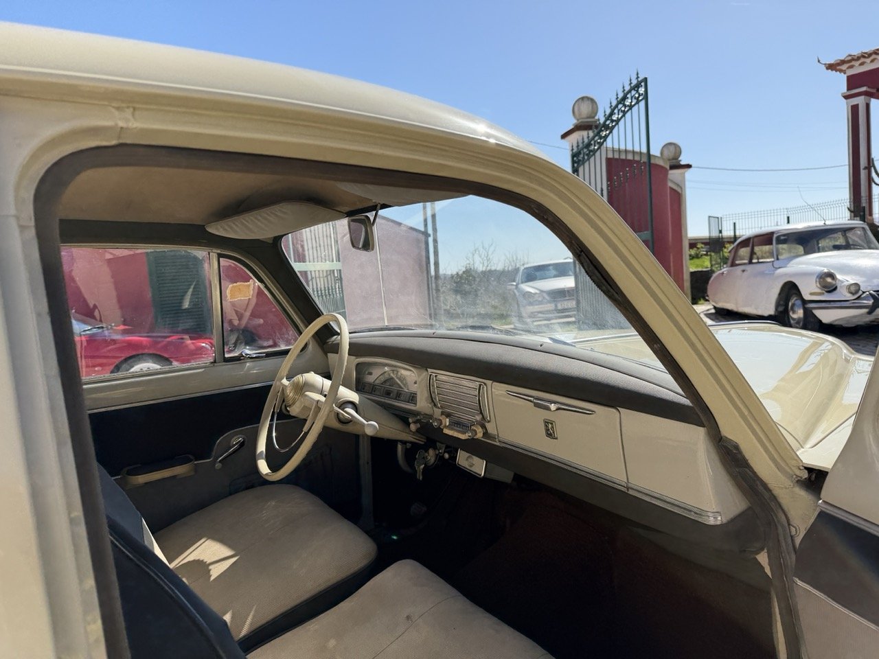 IMG_6693 – grande.jpeg