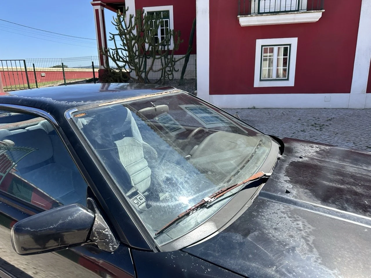 IMG_3151 – grande.jpeg