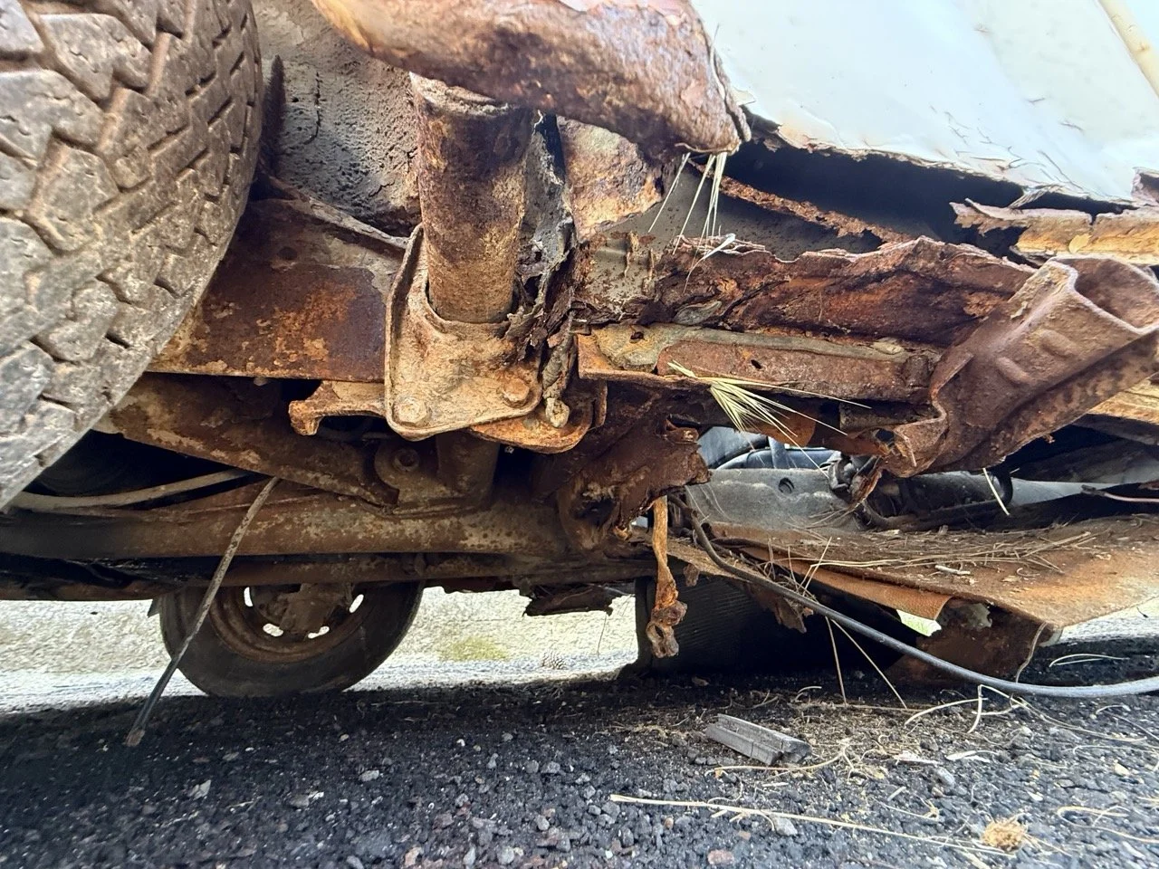 IMG_0651 – grande.jpeg