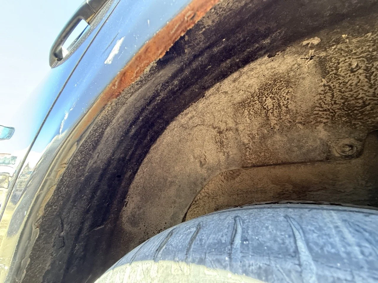 IMG_1814 – grande.jpeg