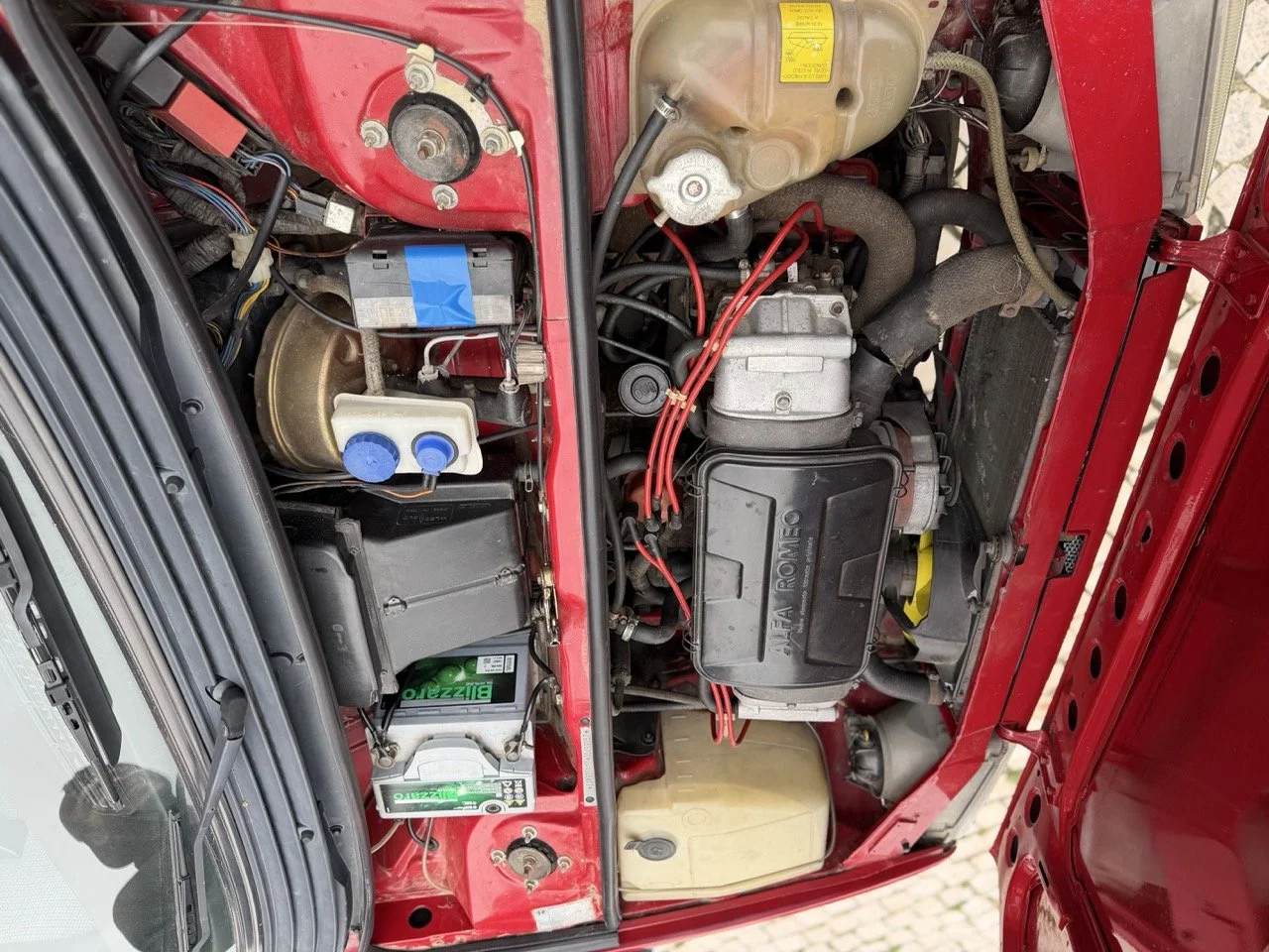 IMG_3471 – grande.jpeg