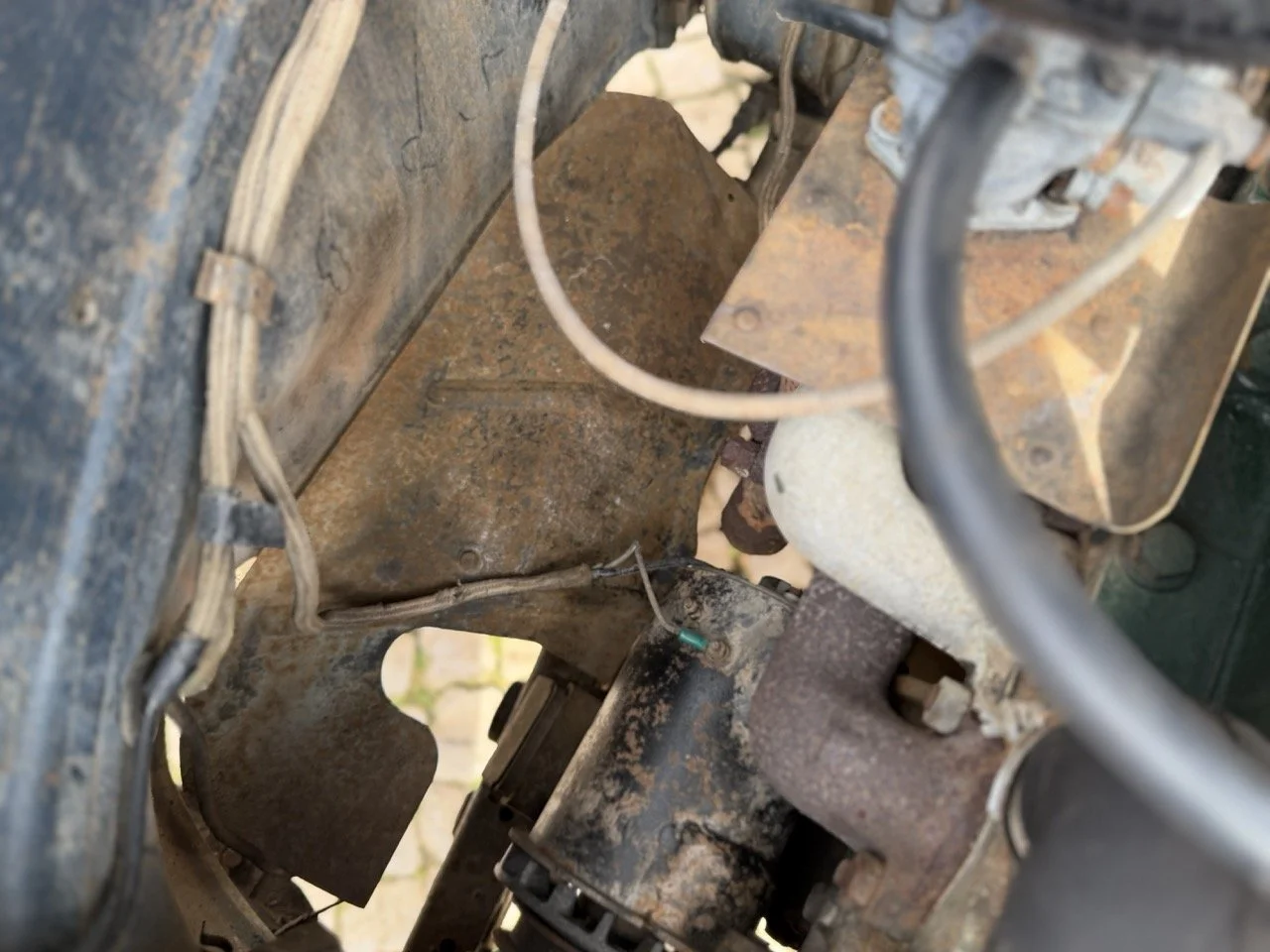 IMG_8122 – grande.jpeg