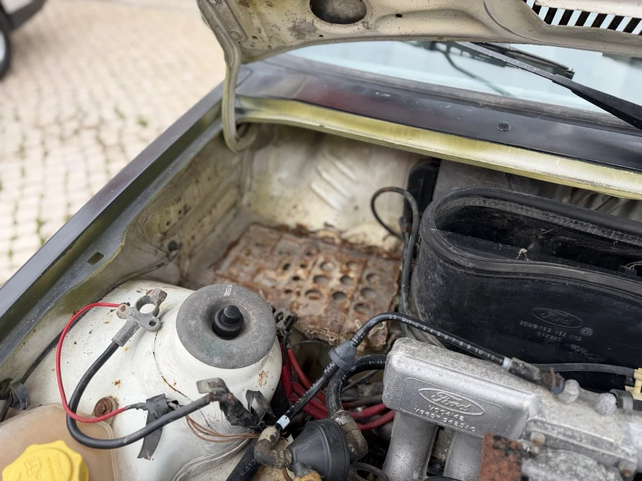 IMG_1346 – grande.jpeg