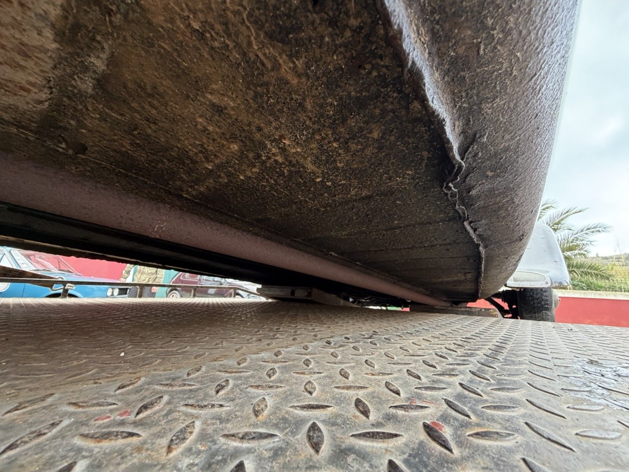 IMG_1895 – grande.jpeg