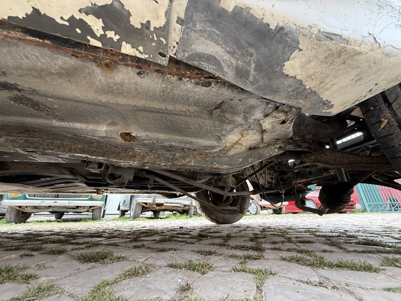 IMG_8643 – grande.jpeg