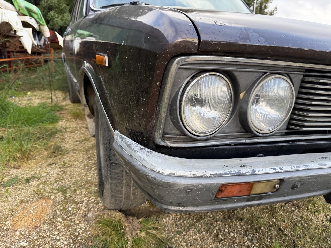 IMG_5257 – grande.jpeg