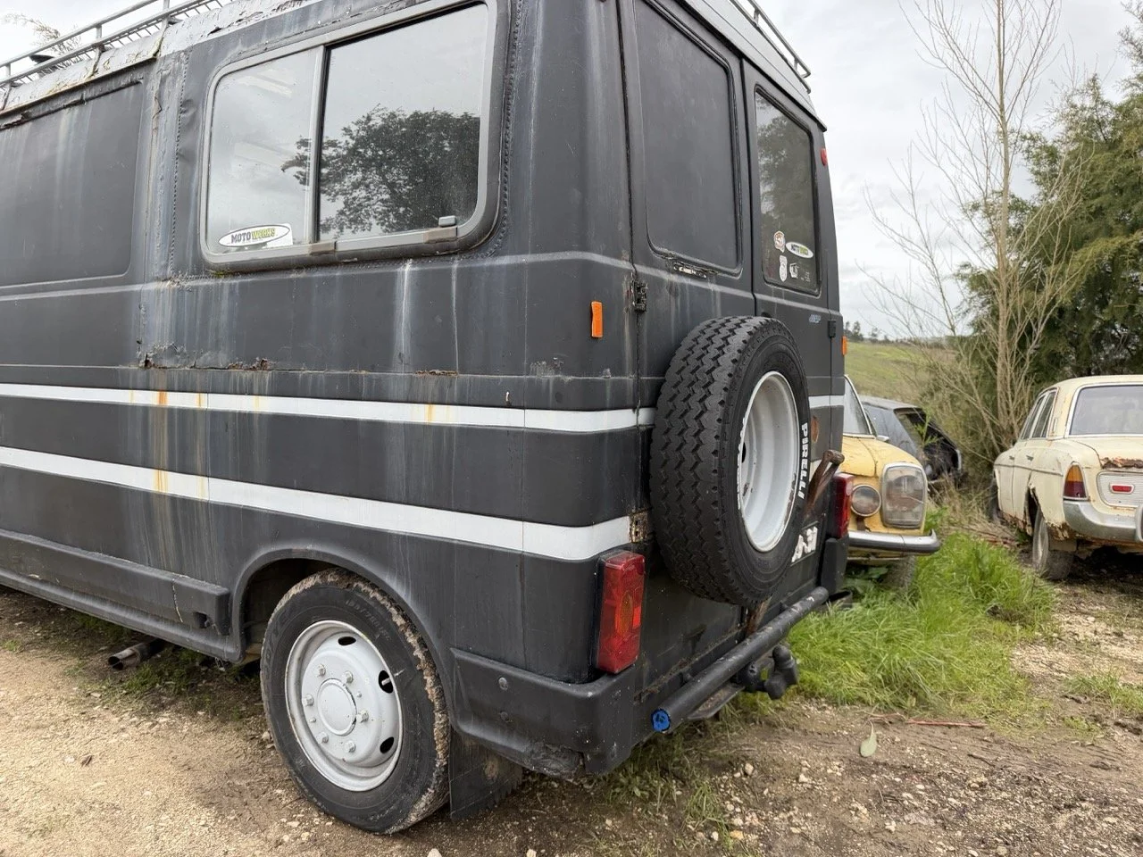 IMG_1317 – grande.jpeg