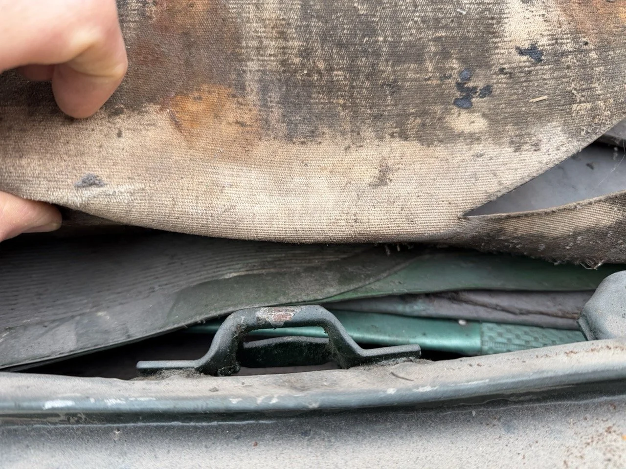 IMG_1807 – grande.jpeg