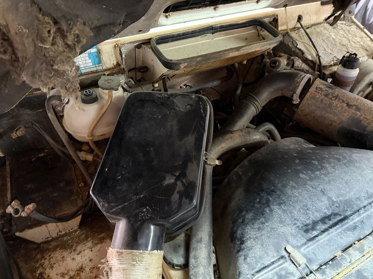 IMG_5200 – grande.jpeg