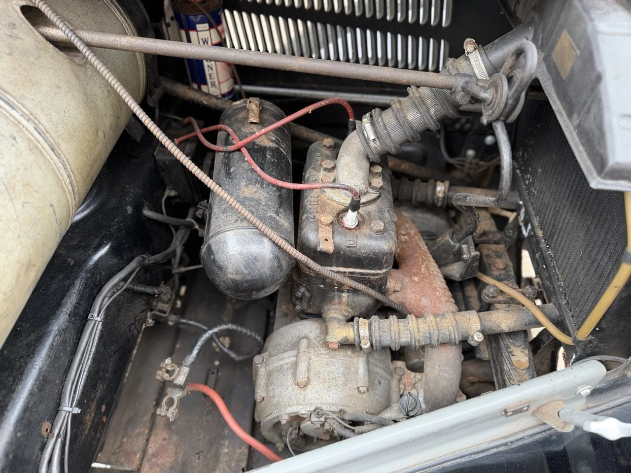 IMG_1442 – grande.jpeg