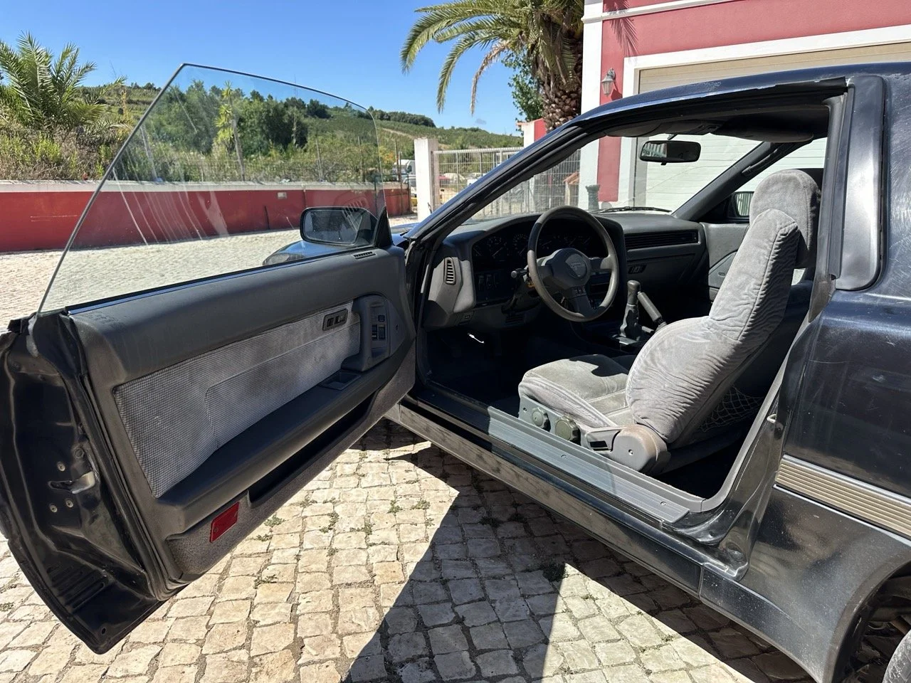 IMG_3040 – grande.jpeg