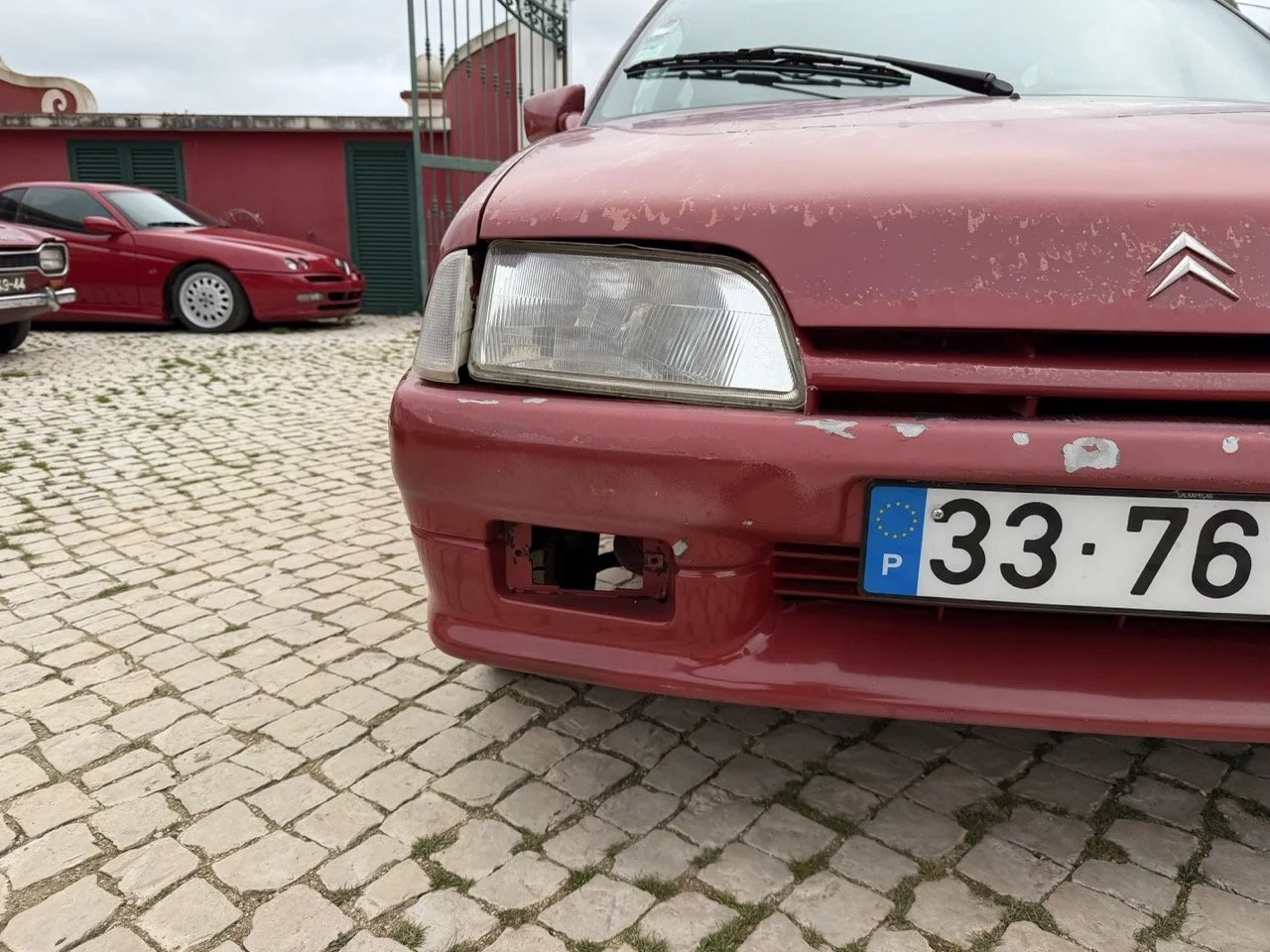 IMG_3637 – grande.jpeg