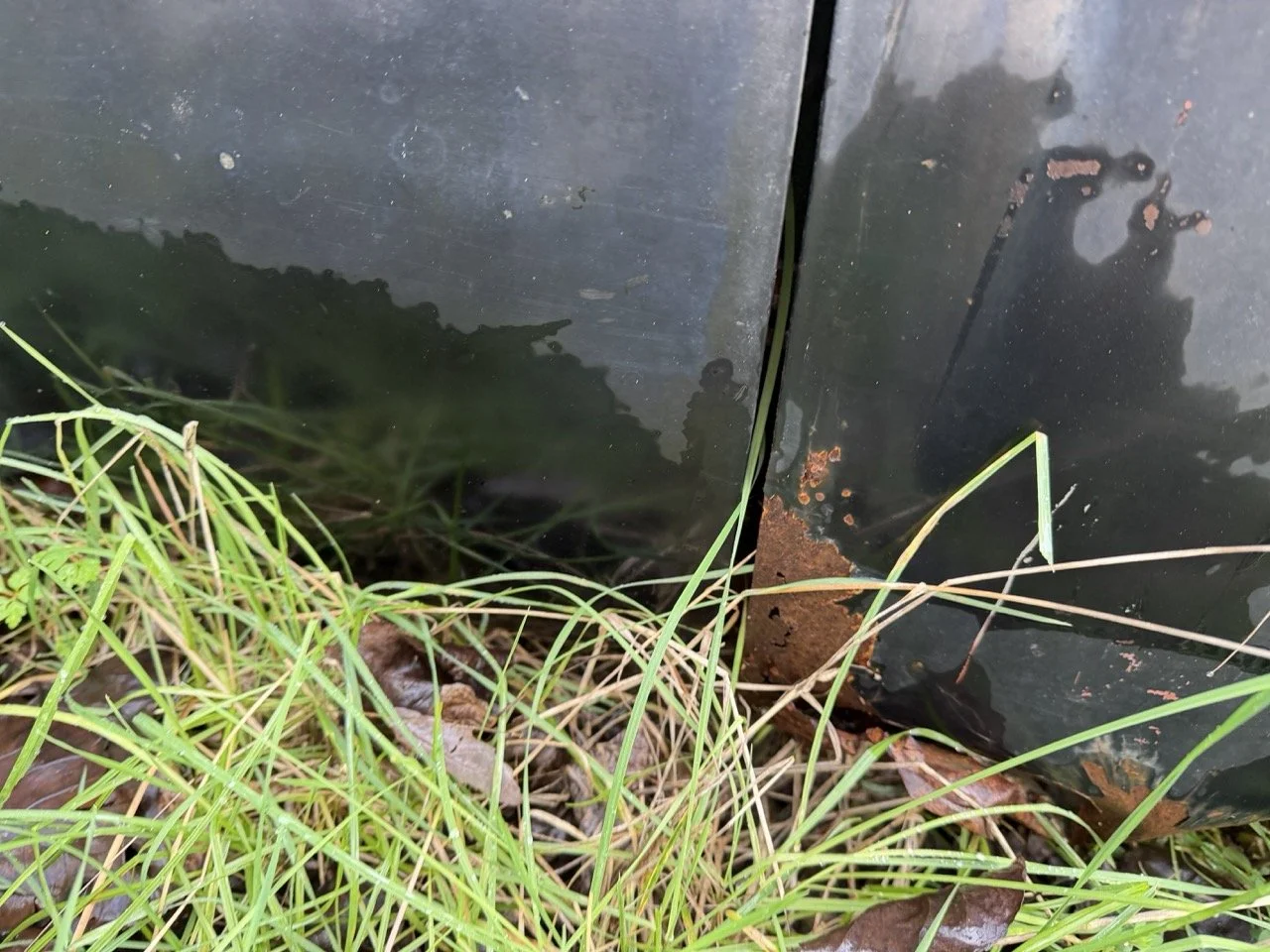 IMG_5040 – grande.jpeg