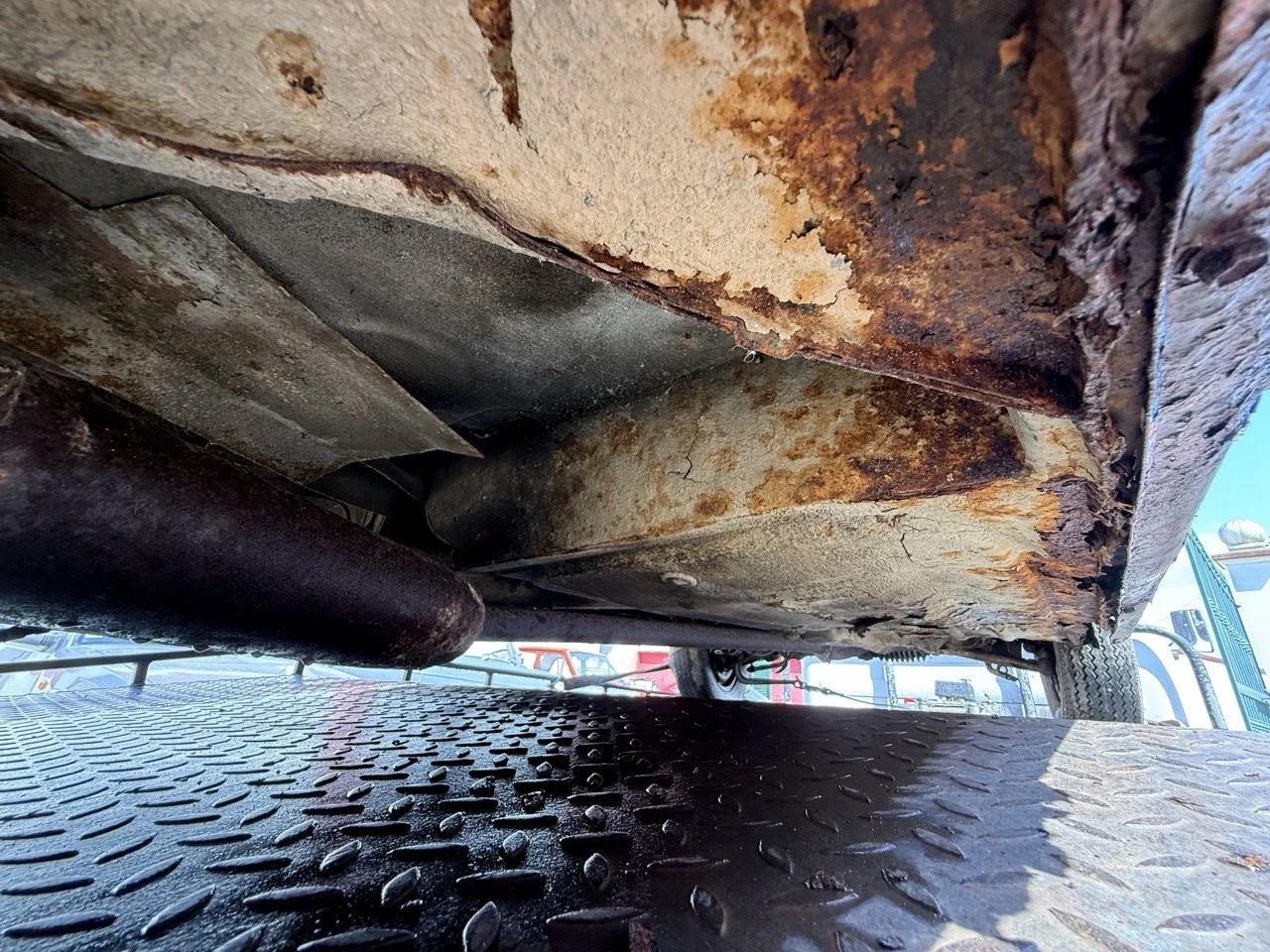 IMG_3480 – grande.jpeg