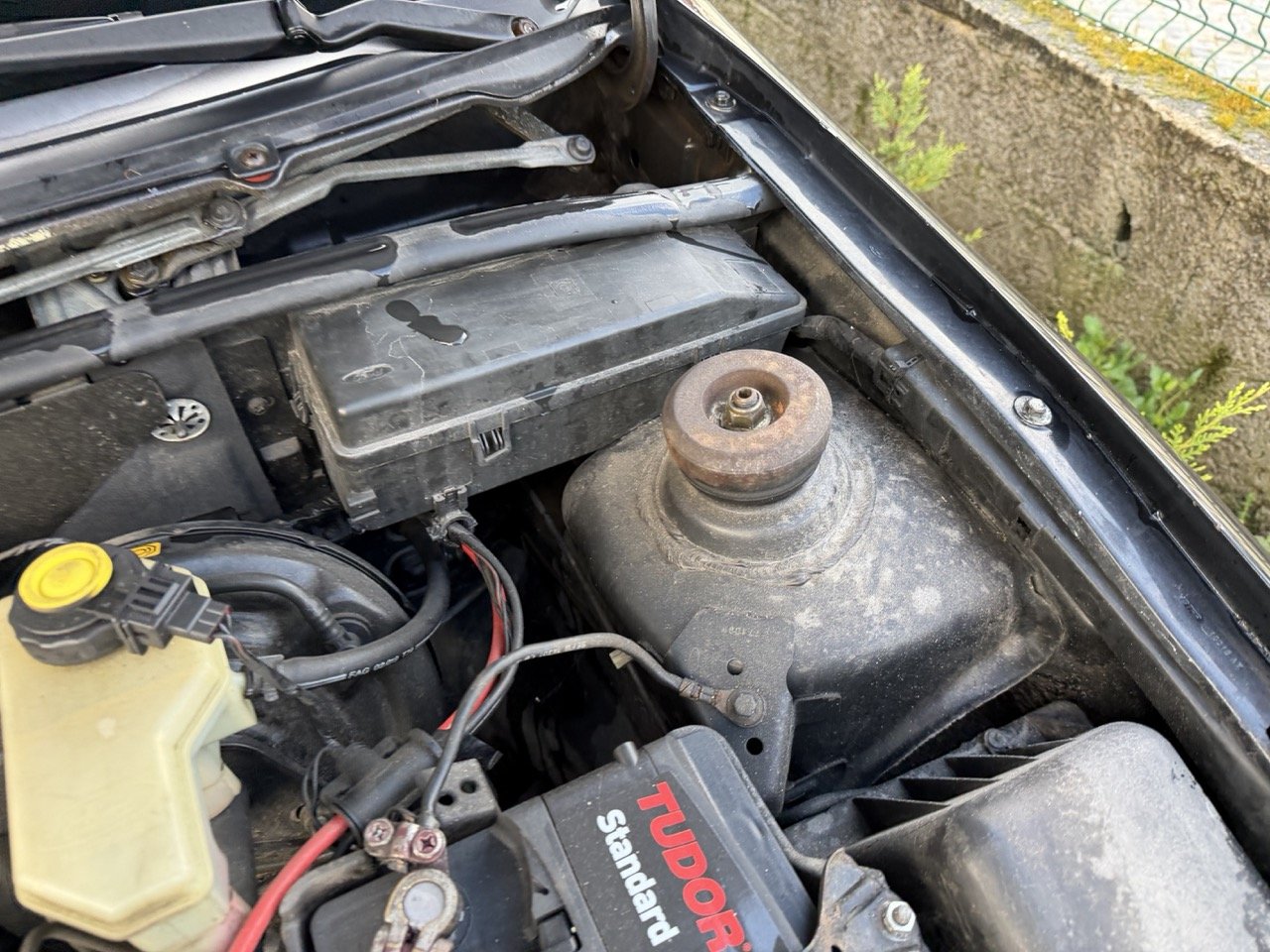 IMG_5313 – grande.jpeg