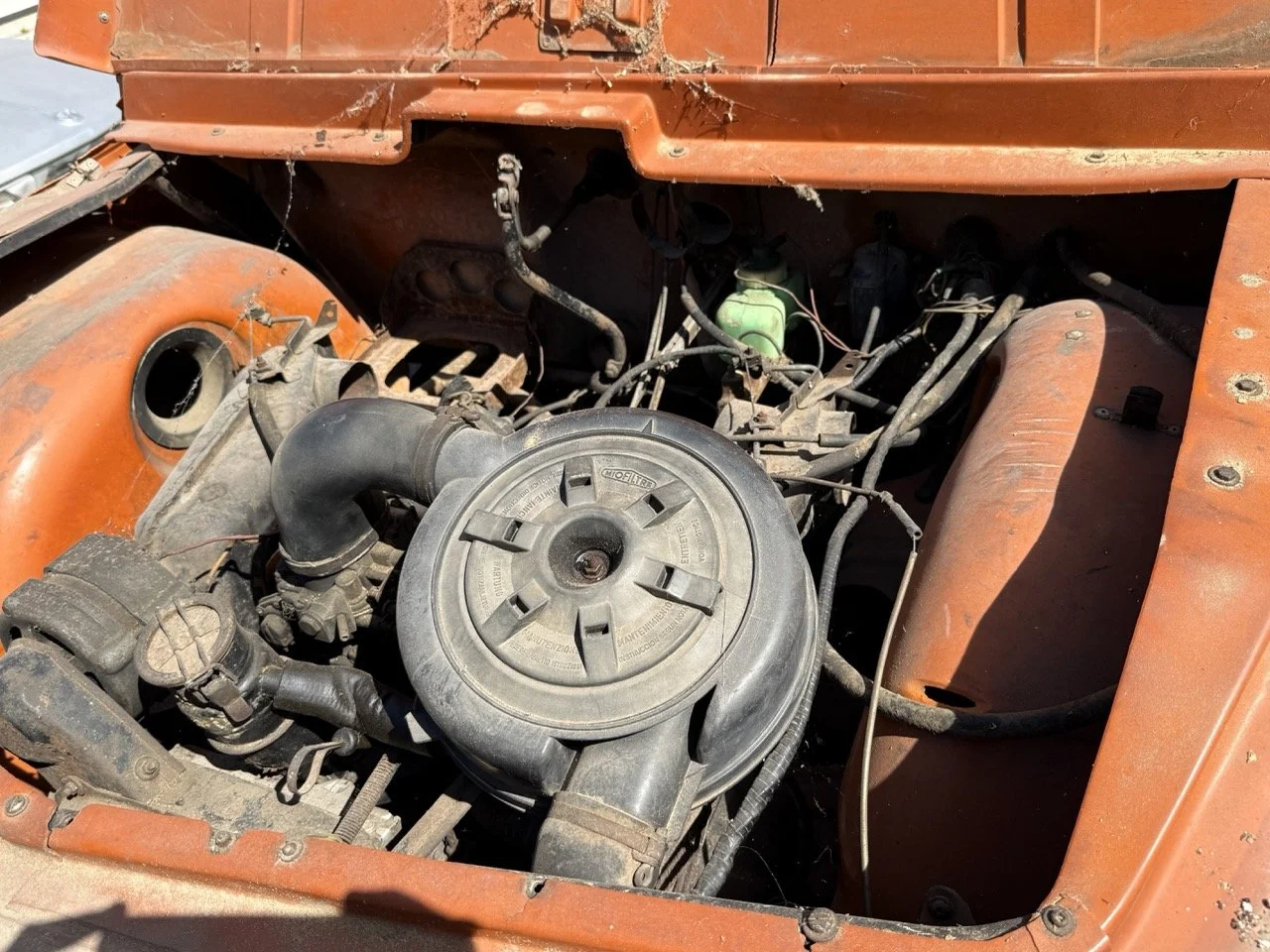 IMG_9072 – grande.jpeg