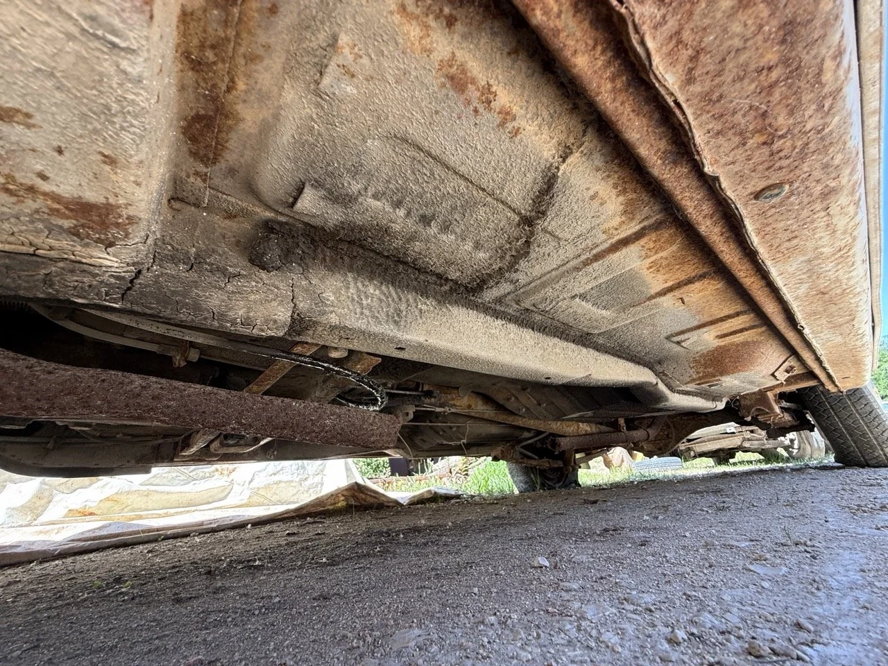 IMG_3235 – grande.jpeg