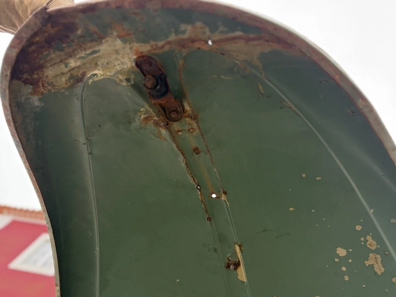 IMG_1187 – grande.jpeg