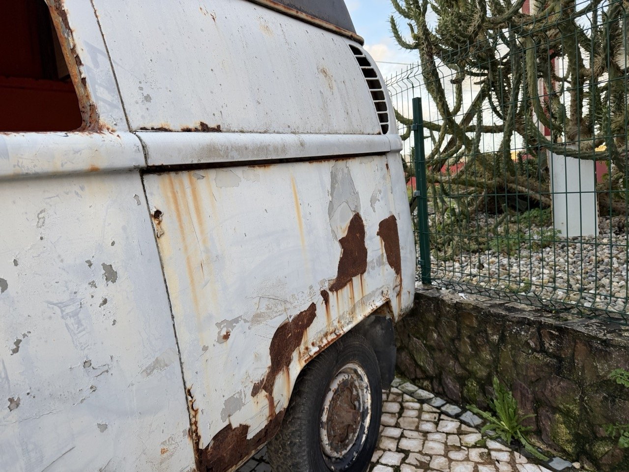 IMG_0838 – grande.jpeg