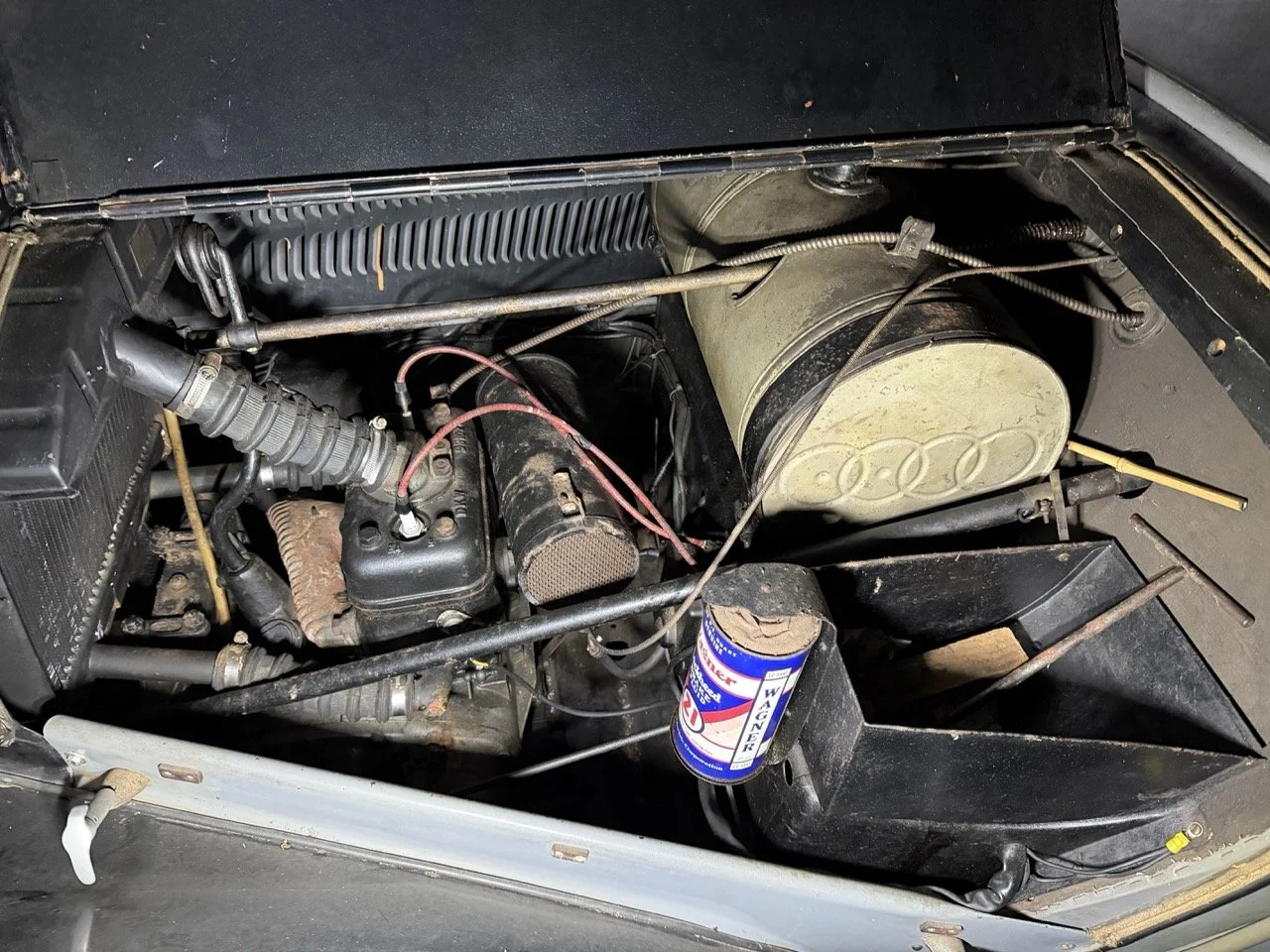 IMG_3105 – grande.jpeg