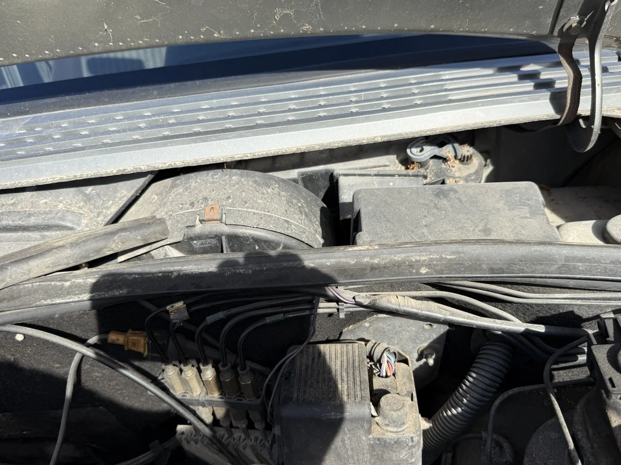 IMG_2560 – grande.jpeg